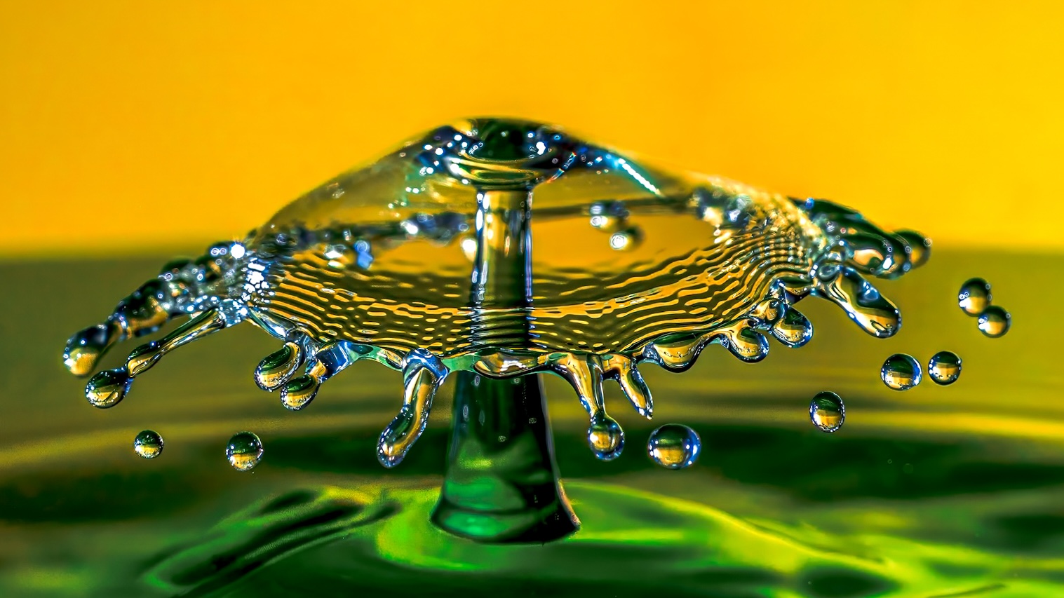 Splash - Pat Ainger